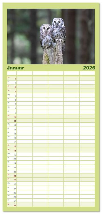 Produktbild: Familienplaner 2026 - Eulen - Fl&uuml;gel der Nacht mit 5 Spalten (Wandkalender, 21 x 45 cm) CALVENDO