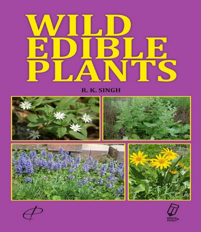 Produktbild: Wild Edible Plants