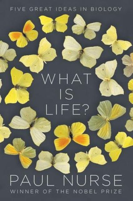 Produktbild: What Is Life?