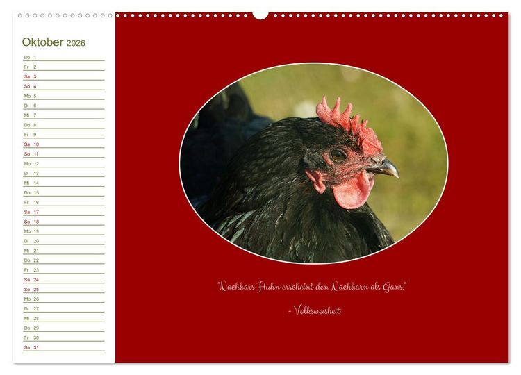 Produktbild: Freilaufende H&uuml;hner (hochwertiger Premium Wandkalender 2026 DIN A2 quer), Kunstdruck in Hochglanz