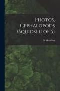 Produktbild: Photos, Cephalopods (Squids) (1 of 5)