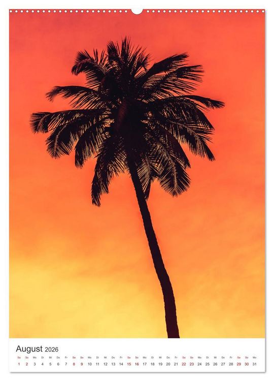 Produktbild: Palm Springs - Immer der Sonne nach. (Wandkalender 2026 DIN A2 hoch), CALVENDO Monatskalender