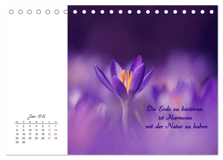 Produktbild: Innehalten in der Natur ... mit Weisheiten und Sprichworten der Indianer (Tischkalender 2026 DIN A5 quer), CALVENDO Monatskalender