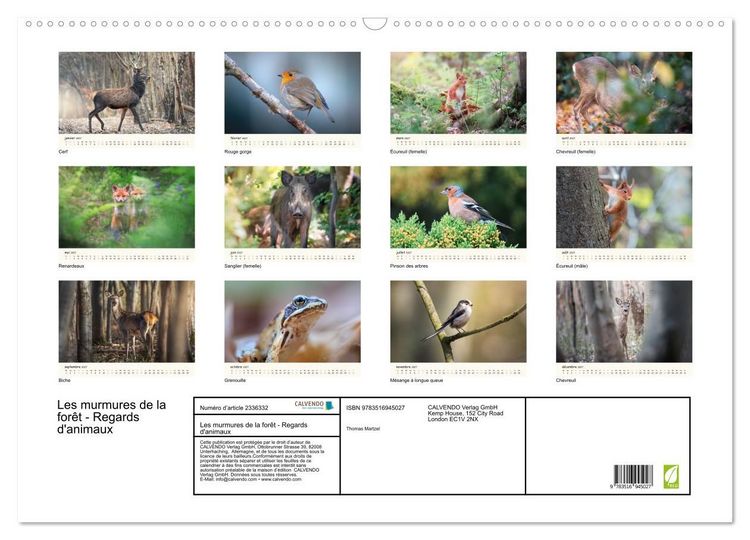 Produktbild: Les murmures de la for&ecirc;t - Regards d'animaux (Calendrier mural 2027 DIN A2 vertical), CALVENDO calendrier mensuel