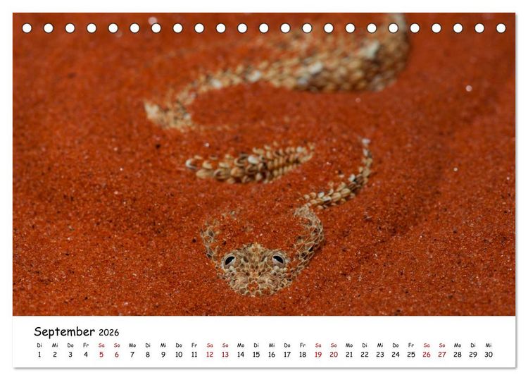 Produktbild: Mythos Schlangen (Tischkalender 2026 DIN A5 quer), CALVENDO Monatskalender
