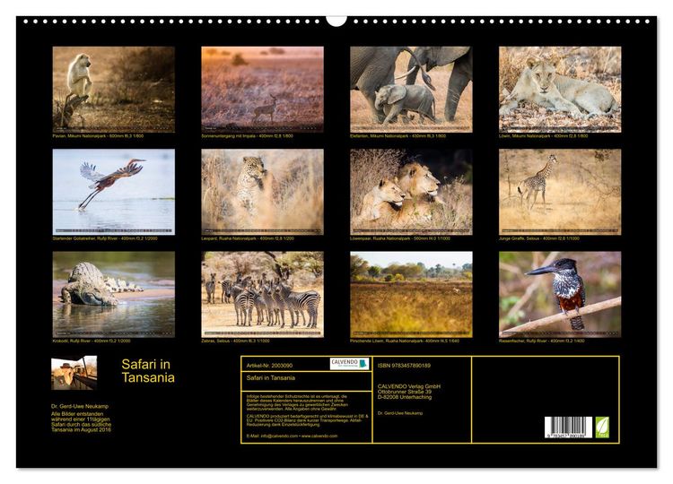 Produktbild: Safari in Tansania (Wandkalender 2026 DIN A2 quer), CALVENDO Monatskalender