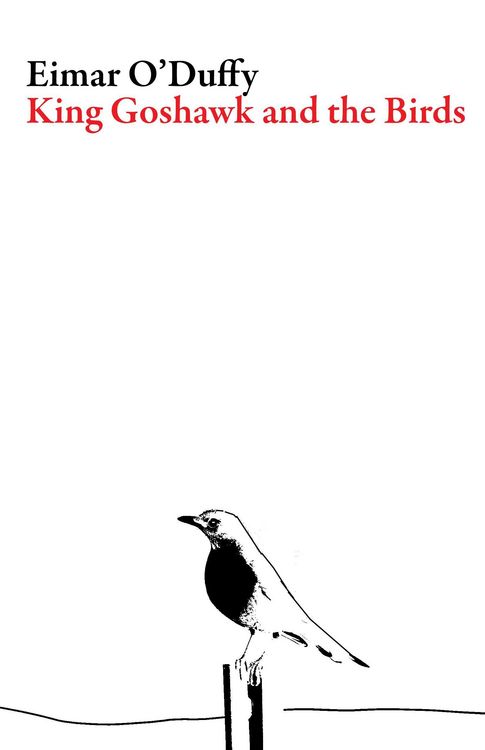 Produktbild: King Goshawk and the Birds