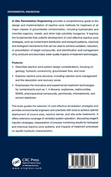 Produktbild: In Situ Remediation Engineering