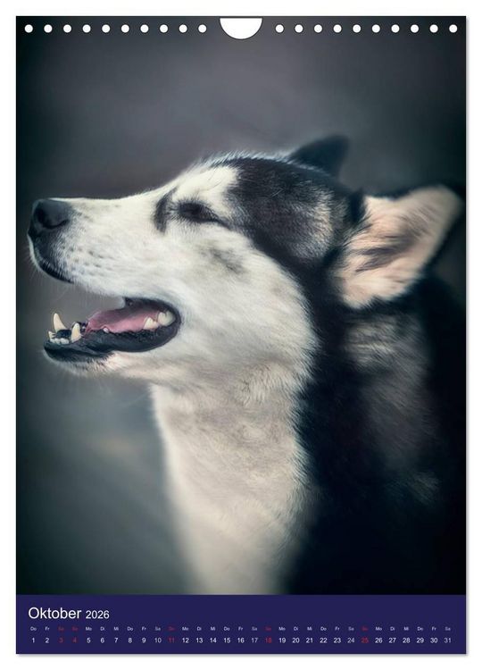 Produktbild: Huskies - Artwork (Wandkalender 2026 DIN A4 hoch), CALVENDO Monatskalender