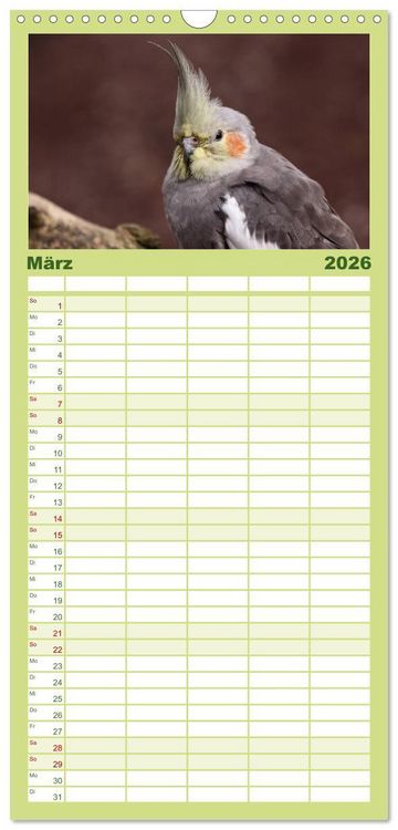 Produktbild: Familienplaner 2026 - Nymphensittiche mit 5 Spalten (Wandkalender, 21 x 45 cm) CALVENDO
