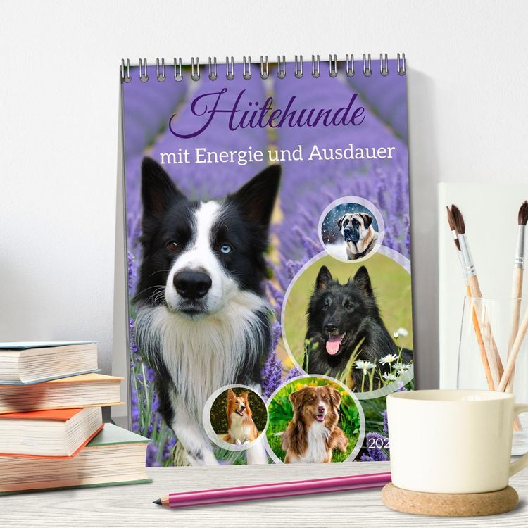 Produktbild: H&uuml;tehunde mit Energie und Ausdauer (Tischkalender 2026 DIN A5 hoch), CALVENDO Monatskalender