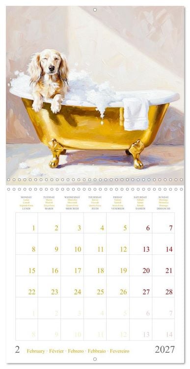 Produktbild: Dachshund Happiness (Wall Calendar 2027 12 &times; 12 Inch) CALVENDO 12 Month Wall Calendar