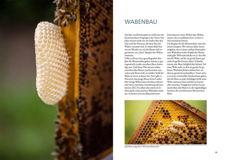 Produktbild: Bienenwachs und Wachskreislauf