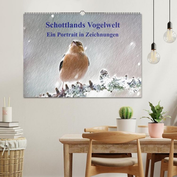 Produktbild: Schottlands Vogelwelt - Ein Portr&auml;t in Zeichnungen (Wandkalender 2027 DIN A2 quer), CALVENDO Monatskalender