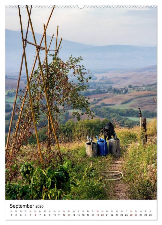 Produktbild: Italien - Pur (hochwertiger Premium Wandkalender 2026 DIN A2 hoch), Kunstdruck in Hochglanz