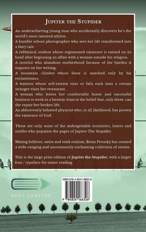 Produktbild: Jupiter the Stupider
