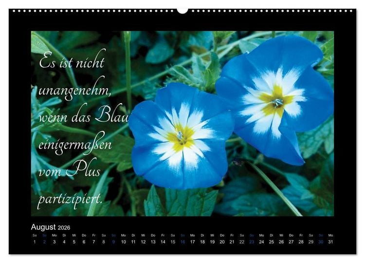 Produktbild: Goethes Blau. Gedanken zur Farbe (Wandkalender 2026 DIN A2 quer), CALVENDO Monatskalender