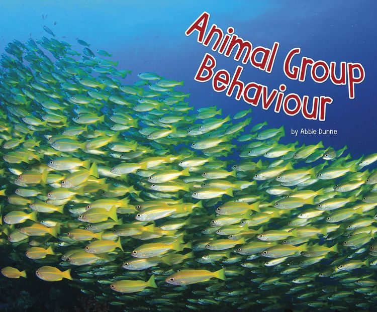 Produktbild: Animal Group Behaviour