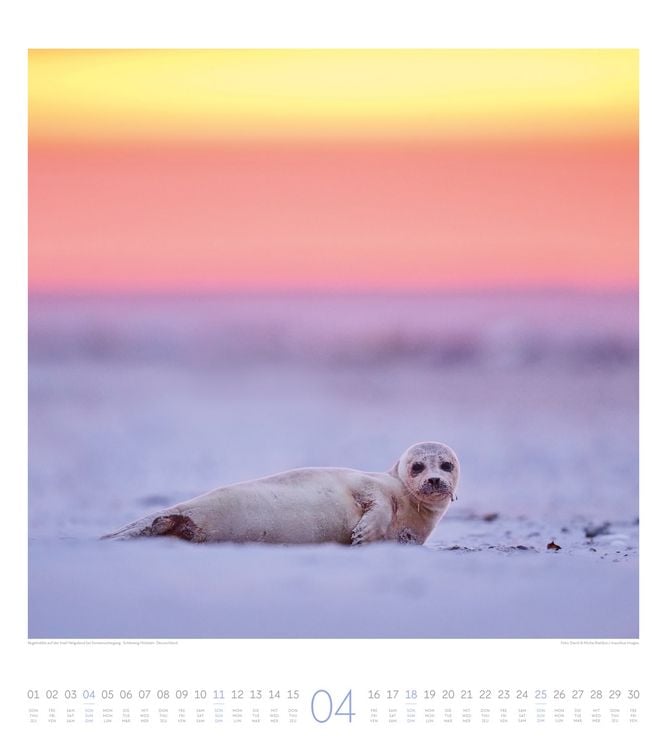 Produktbild: Meeresstille Kalender 2027