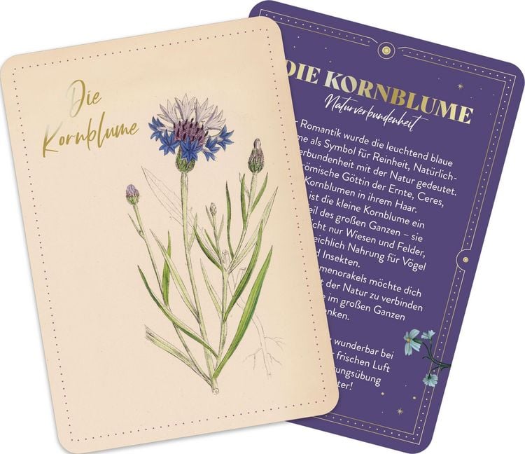 Produktbild: Die geheimnisvolle Sprache der Blumen &ndash; 50 Orakelkarten f&uuml;r das ganze Jahr