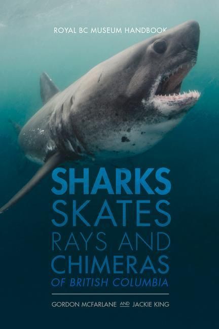 Produktbild: Sharks, Skates, Rays and Chimeras of British Columbia