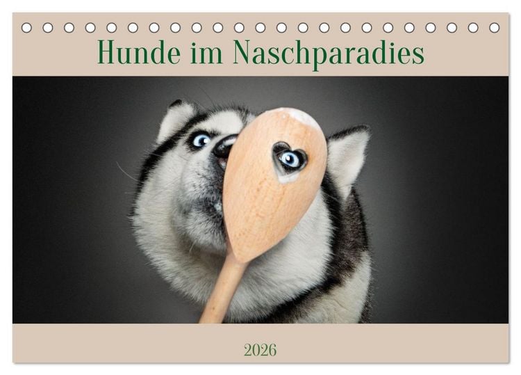 Produktbild: Hunde im Naschparadies (Tischkalender 2026 DIN A5 quer), CALVENDO Monatskalender