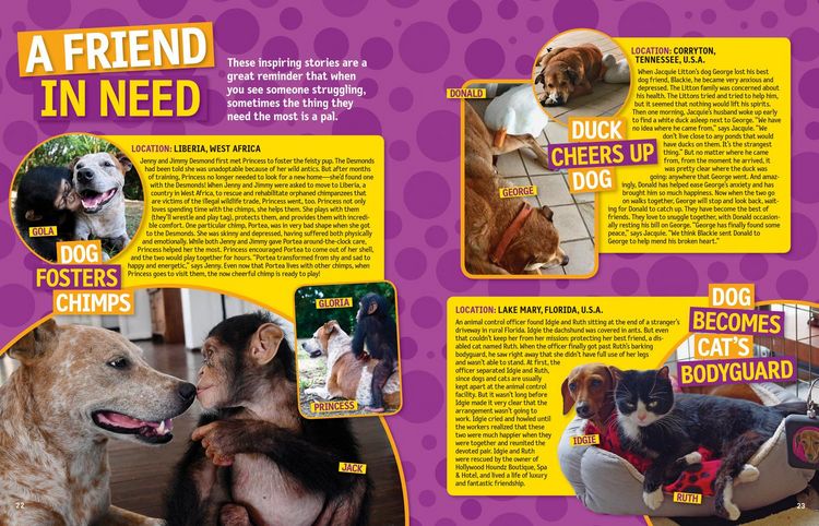 Produktbild: National Geographic Kids 125 True Stories of Amazing Animal Friendships