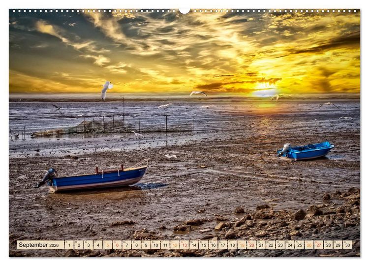 Produktbild: Friesland - Watt und Nordsee (hochwertiger Premium Wandkalender 2026 DIN A2 quer), Kunstdruck in Hochglanz