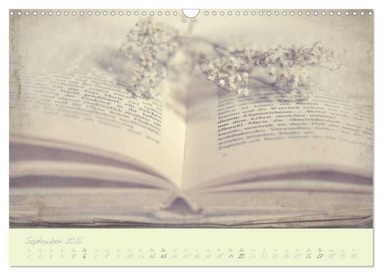 Produktbild: Shabby ist Chic (Wandkalender 2026 DIN A3 quer), CALVENDO Monatskalender
