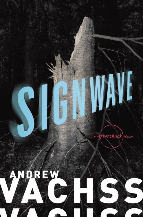 Produktbild: SignWave