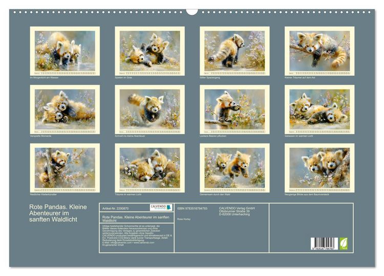 Produktbild: Rote Pandas. Kleine Abenteurer im sanften Waldlicht (Wandkalender 2027 DIN A2 quer), CALVENDO Monatskalender