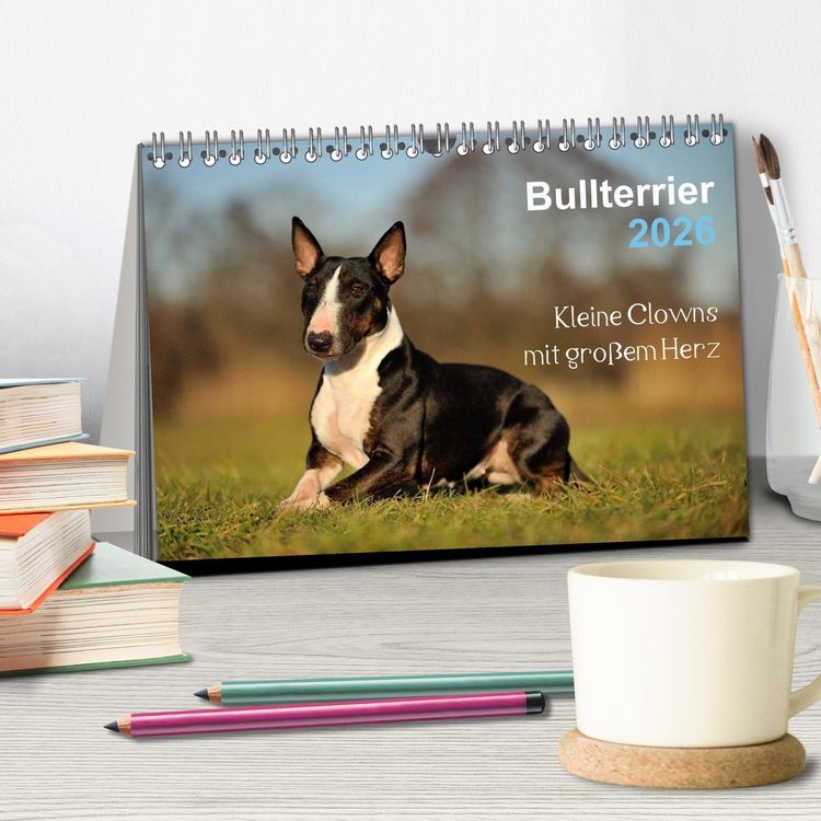 Produktbild: Bullterrier 2026 - Kleine Clowns mit gro&szlig;em Herz (Tischkalender 2026 DIN A5 quer), CALVENDO Monatskalender