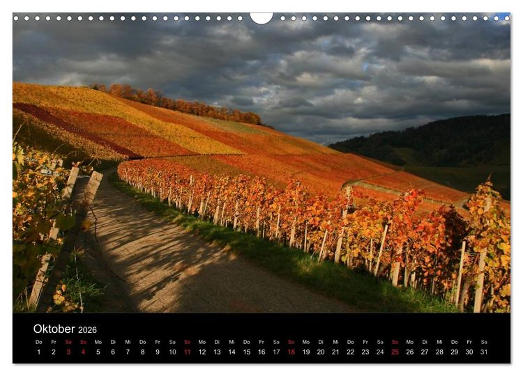 Produktbild: Mein Ortenaukalender 2026 (Wandkalender 2026 DIN A3 quer), CALVENDO Monatskalender