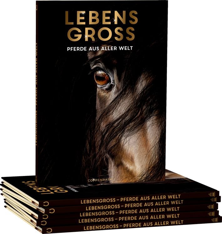 Produktbild: Lebensgro&szlig; - Pferde aus aller Welt
