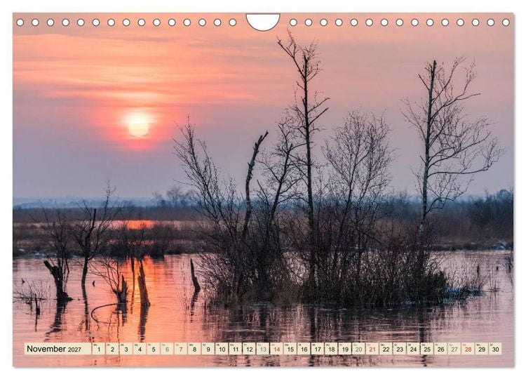 Produktbild: Niedersachsens Natur (Wandkalender 2027 DIN A4 quer), CALVENDO Monatskalender