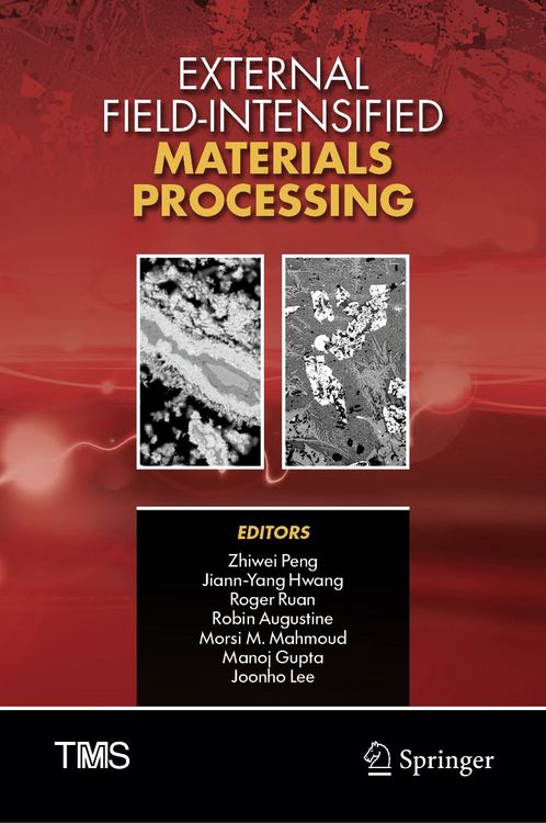 Produktbild: External Field-Intensified Materials Processing