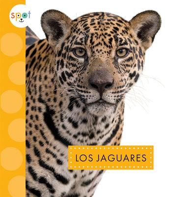 Produktbild: Los Jaguares