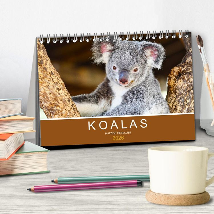 Produktbild: Koalas, putzige Gesellen (Tischkalender 2026 DIN A5 quer), CALVENDO Monatskalender