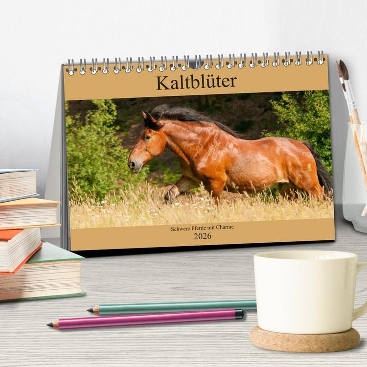 Produktbild: Kaltbl&uuml;ter - Schwere Pferde mit Charme (Tischkalender 2026 DIN A5 quer), CALVENDO Monatskalender