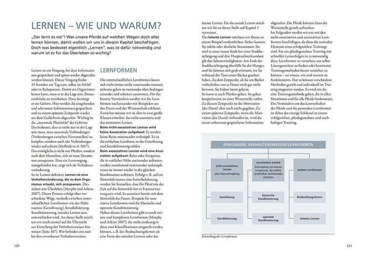 Forschung trifft Pferd