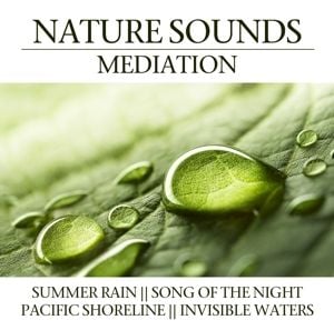 Produktbild: Nature Sounds Meditation