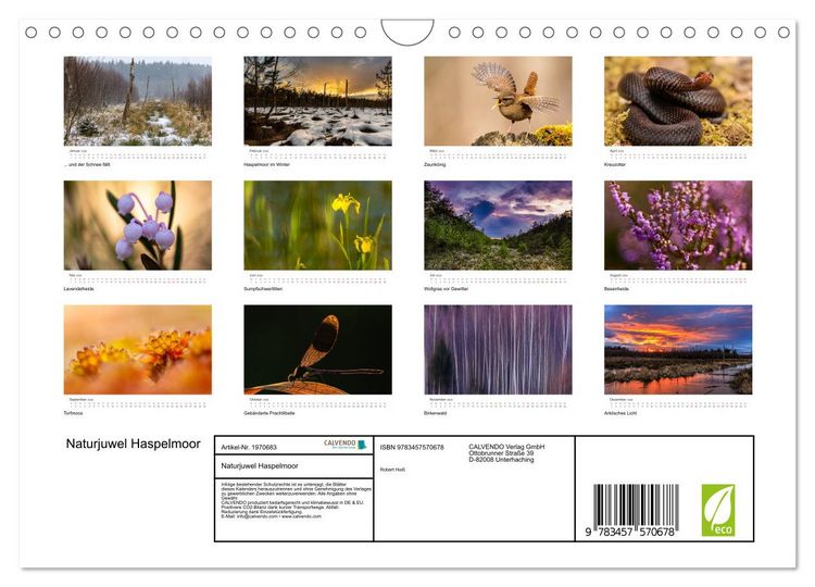 Produktbild: Naturjuwel Haspelmoor (Wandkalender 2026 DIN A4 quer), CALVENDO Monatskalender