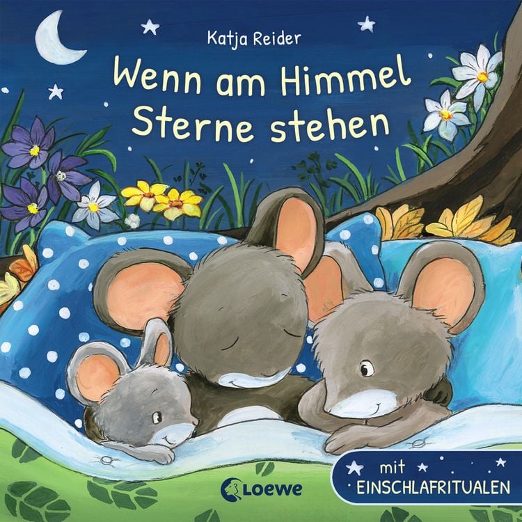 Produktbild: Wenn am Himmel Sterne stehen