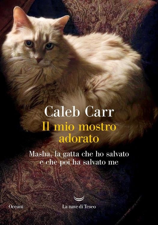 Produktbild: Il mio mostro adorato. Masha, la gatta che ho salvato e che poi ha salvato me