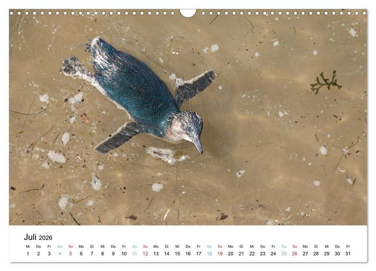 Produktbild: Australiens wunderbare Tiere (Wandkalender 2026 DIN A3 quer), CALVENDO Monatskalender