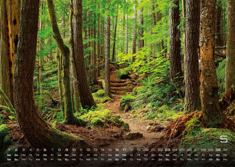 Produktbild: Wald - Erholung f&uuml;r Mensch und Tier - 2027 - Kalender DIN A3