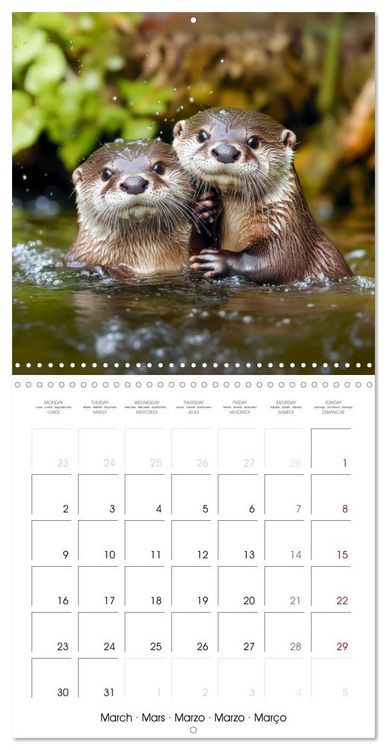 Produktbild: Cute Otter Moments (Wall Calendar 2026 12 &times; 12 Inch) CALVENDO 12 Month Wall Calendar