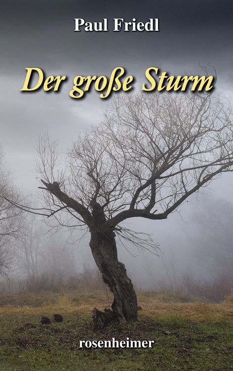 Produktbild: Der gro&szlig;e Sturm