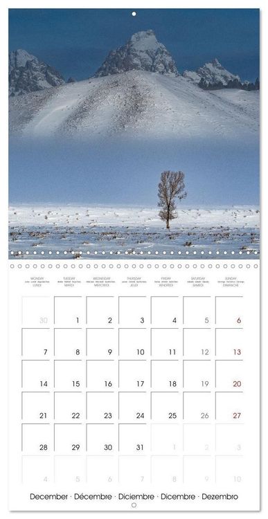 Produktbild: Teton National Park (Wall Calendar 2026 12 &times; 12 Inch) CALVENDO 12 Month Wall Calendar
