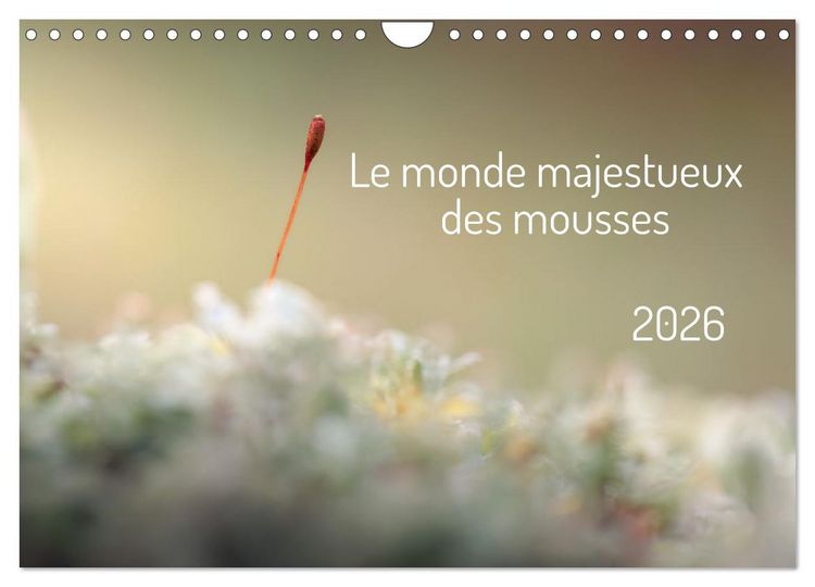 Produktbild: Le monde majestueux des mousses (Calendrier mural 2026 DIN A4 vertical), CALVENDO calendrier mensuel